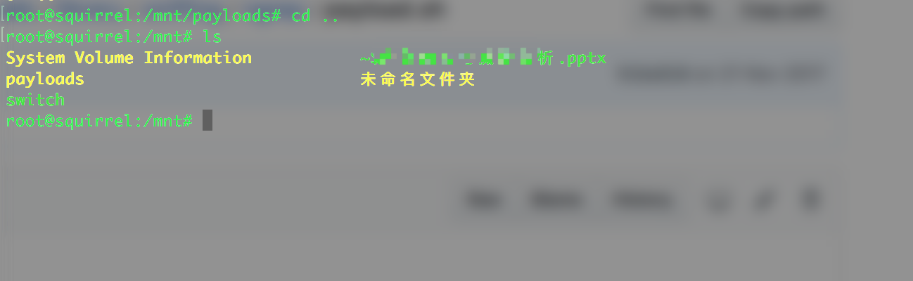 硬件黑客工具Packet Squirrel之三:Payload开发介绍