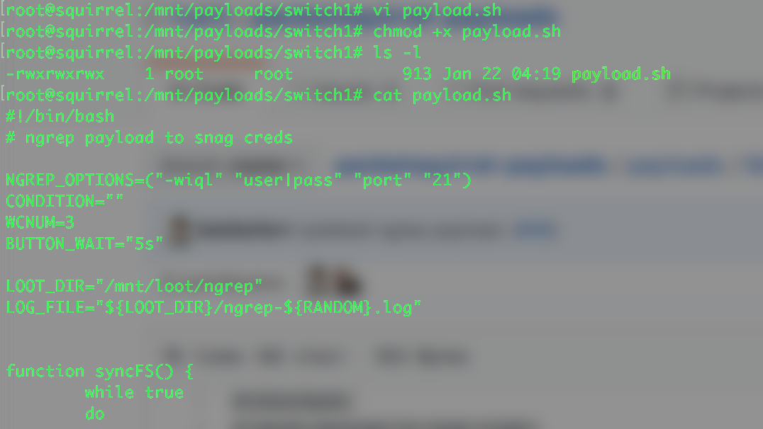 硬件黑客工具Packet Squirrel之三:Payload开发介绍