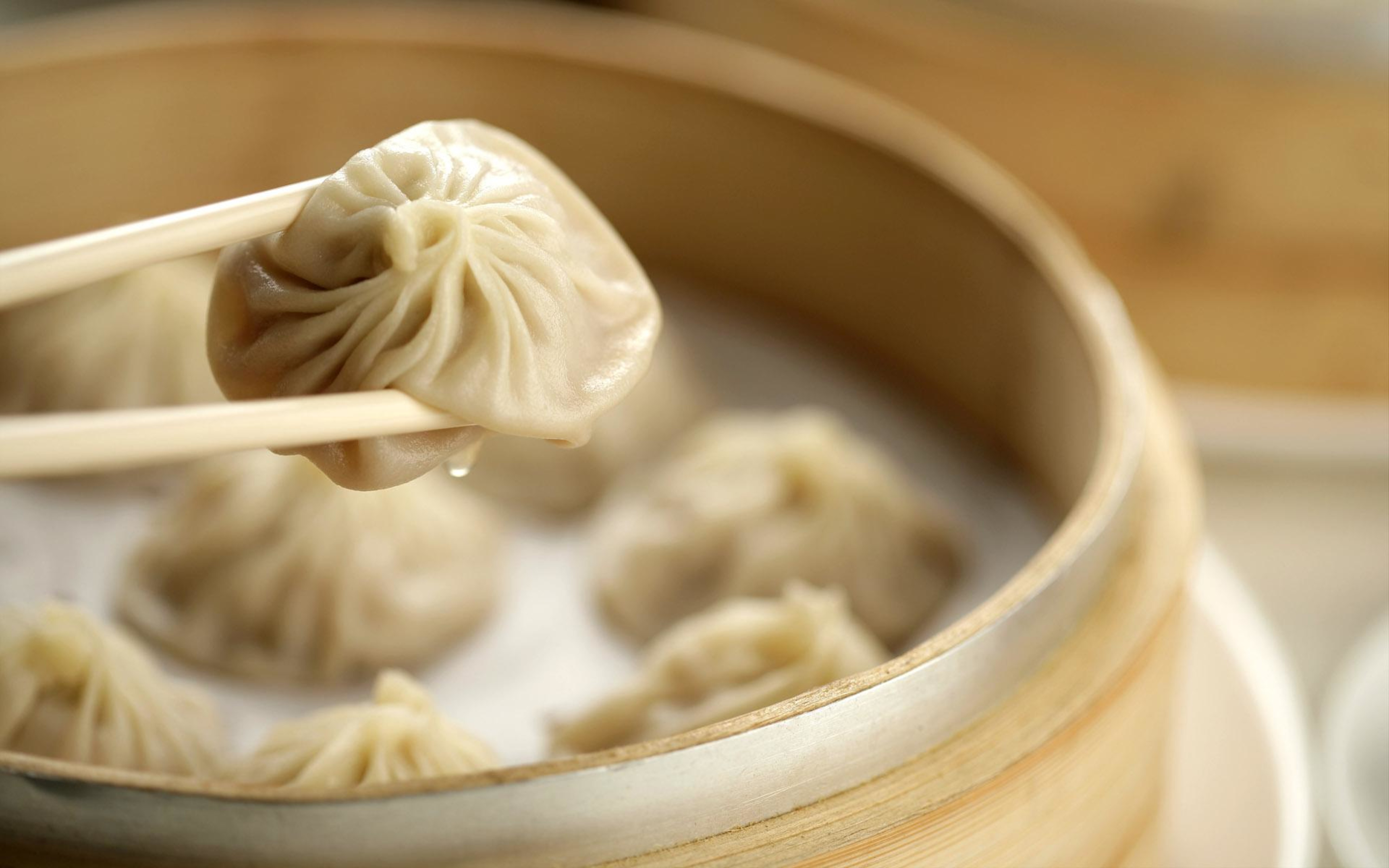 Tasty-chinese-dumplings_5120x3200.jpg