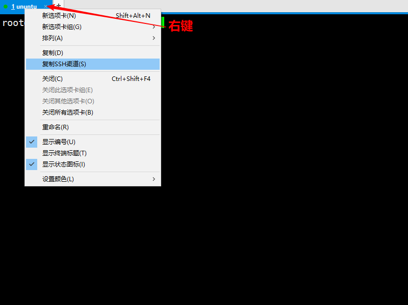 Linux本地内核提权漏洞（CVE-2017-7184） - 作者:ellenZ-安全小百科