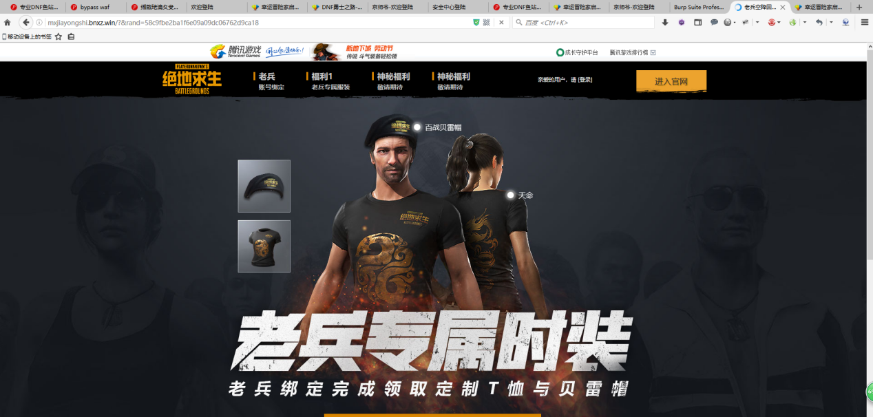 攻破黑市之拿下吃鸡DNF等游戏钓鱼站群