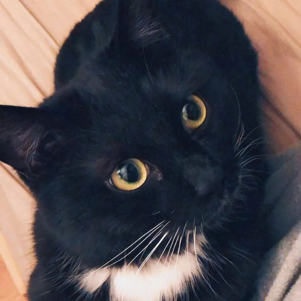 福布斯榜上的90后黑客陈宇森:世界终会留给我一条逆袭的路 - 作者:史中浅黑科技-安全小百科