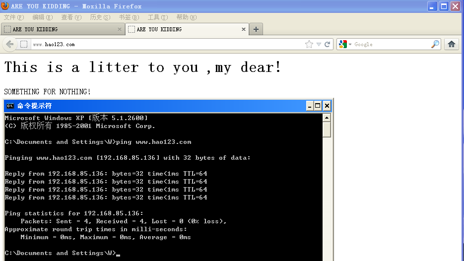 dns14.png