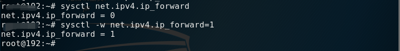 arp4.png