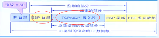 IPsec数据报格式
