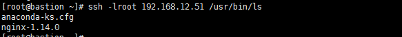 ssh_ls.png