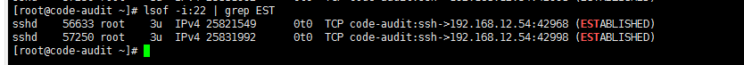 lsof_ssh.png