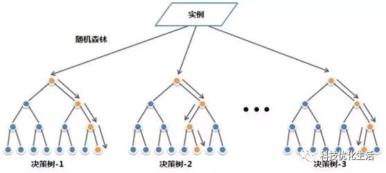 561321.jpg