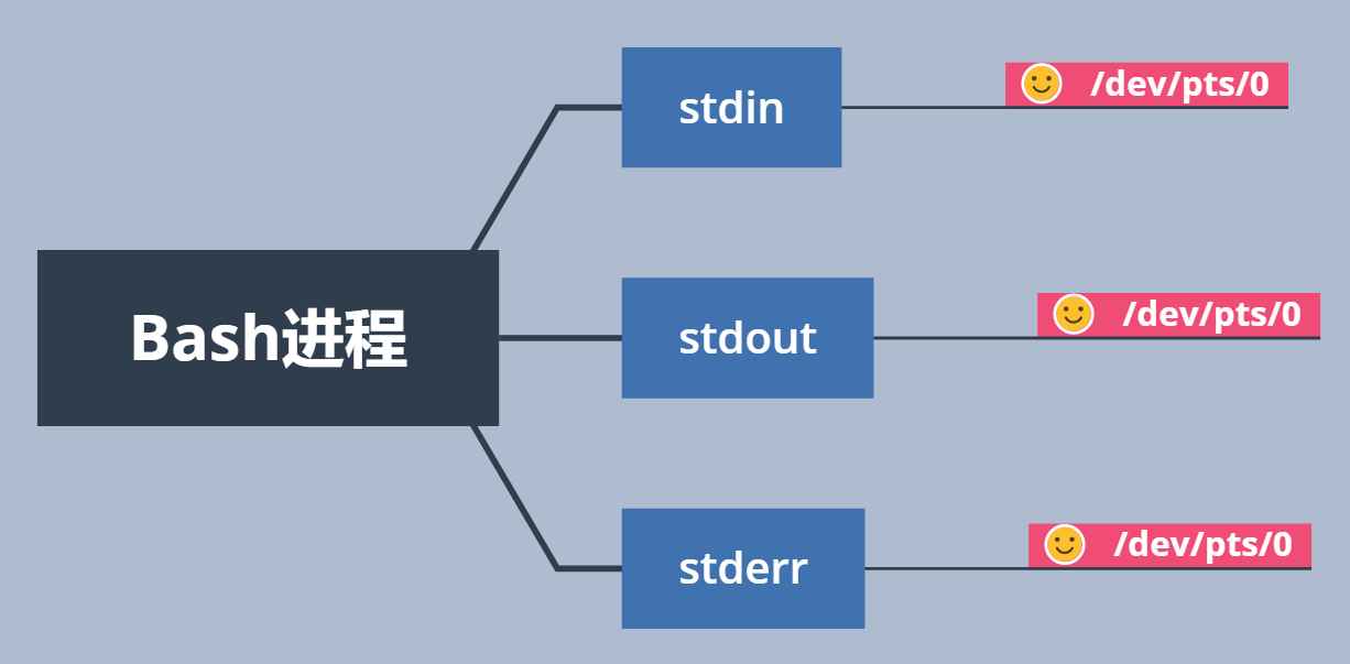 定向到终端设备文件