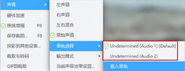 视频文件中的两个音轨.jpg