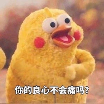 页首配图