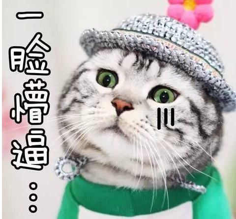 疑似国内某知名团伙的最新挖矿脚本分析 - 作者:si1ence-安全小百科