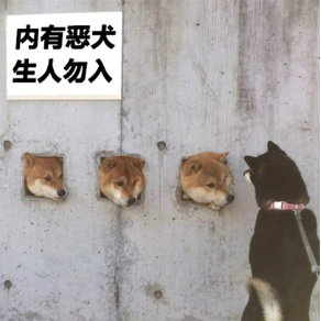 双因子认证!这4种身份认证方式你都了解吗?丨正经情报局02期 - 作者:beikatech 双因子认证!这4种身份认证方式你都了解吗?丨正经情报局02期 - 作者:beikatech