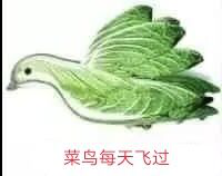 图片13.png