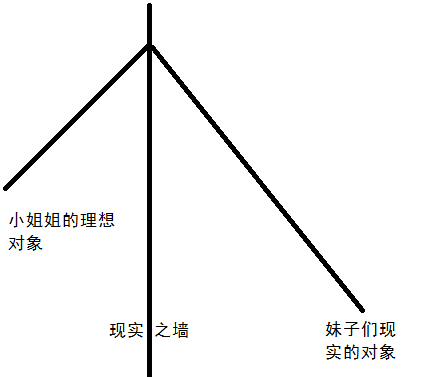 妹子的理想.png