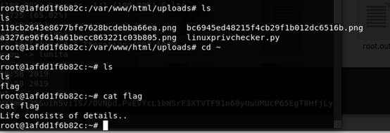VulnHub靶机学习——HackInOS实战记录 - 作者:你伤不到我哒 VulnHub靶机学习——HackInOS实战记录 - 作者:你伤不到我哒