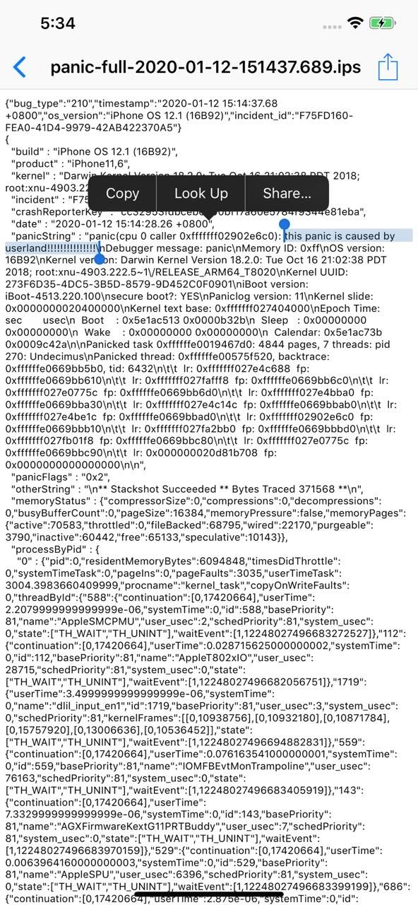 iOS Jailbreak Principles - Undecimus 分析（三）通过 IOTrap 实现内核任意代码执行 - 作者:09342E0C-安全小百科