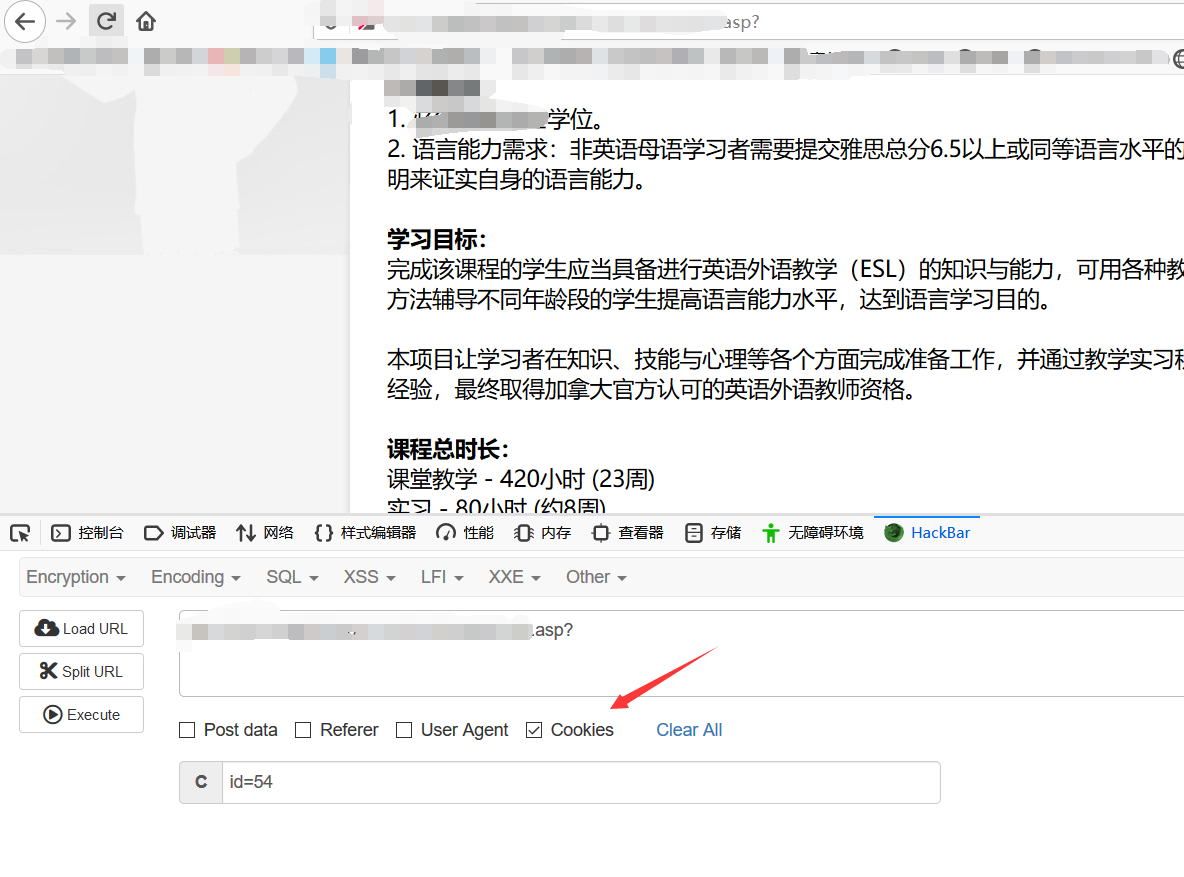Access的注入进阶技巧 - 作者:G0tHji-安全小百科