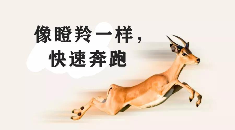 喜讯!北卡科技入选福建省“瞪羚”创新企业! - 作者:beikatech 喜讯!北卡科技入选福建省“瞪羚”创新企业! - 作者:beikatech