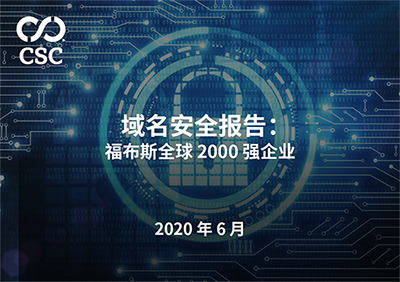 CSC 域名安全报告