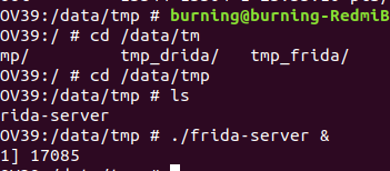 Frida脚本使用 - 作者:无情剑客Burning Frida脚本使用 - 作者:无情剑客Burning