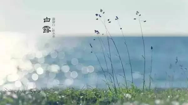 本周大事记 | 热点+安全播报 - 作者:江民安全实验室-安全小百科