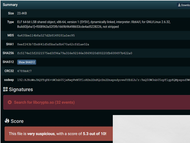 图片[12]-沙箱与恶意样本自动化分析 – 作者:京东云安全-安全小百科