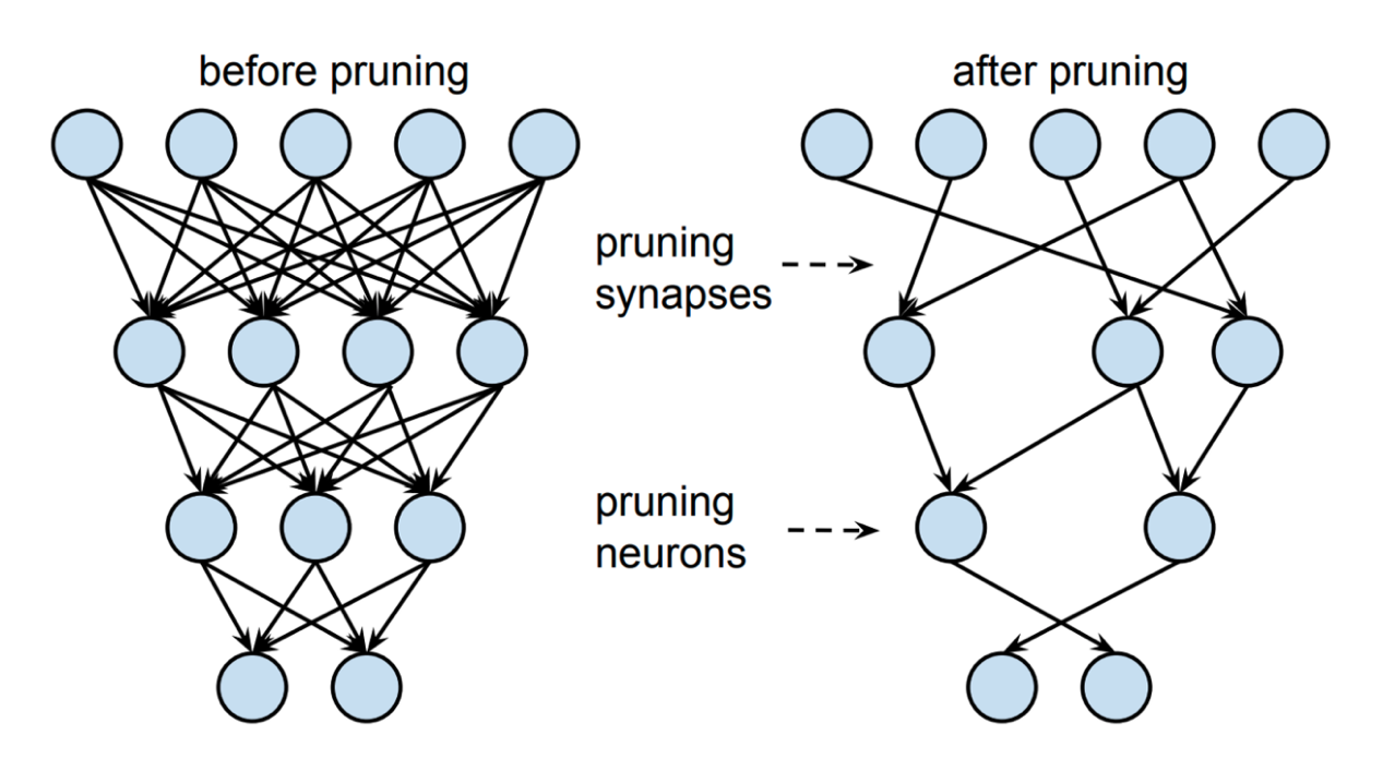 神经网络剪枝 - 作者:极光无限SZ-安全小百科