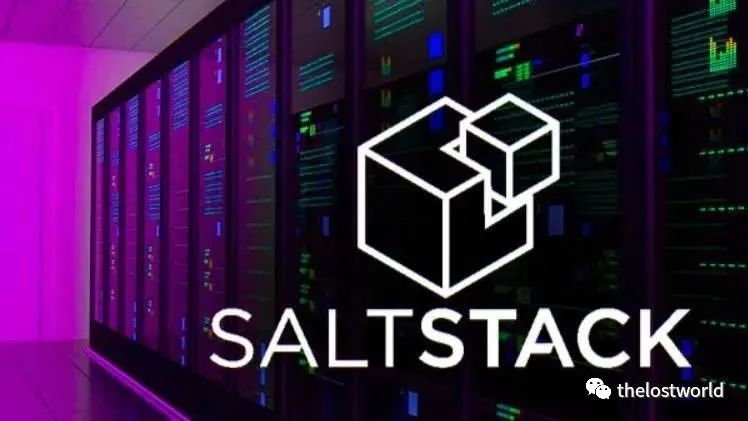 SaltStack Shell 注入 (CVE-2020-16846)漏洞 - 作者:thelostworld-安全小百科