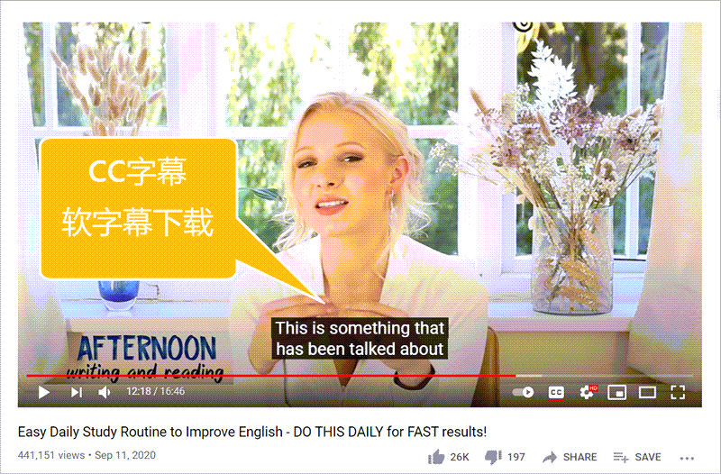 怎么下载合并SRT字幕与视频(图文教程) - 作者:techzio 怎么下载合并SRT字幕与视频(图文教程) - 作者:techzio