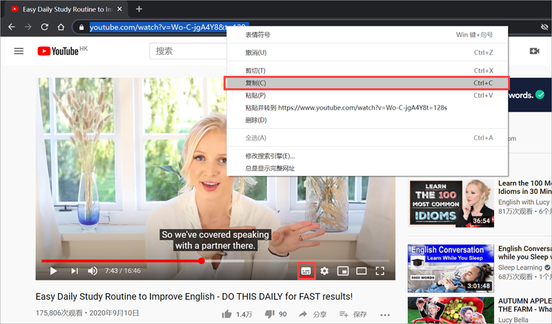 怎么下载合并SRT字幕与视频(图文教程) - 作者:techzio 怎么下载合并SRT字幕与视频(图文教程) - 作者:techzio