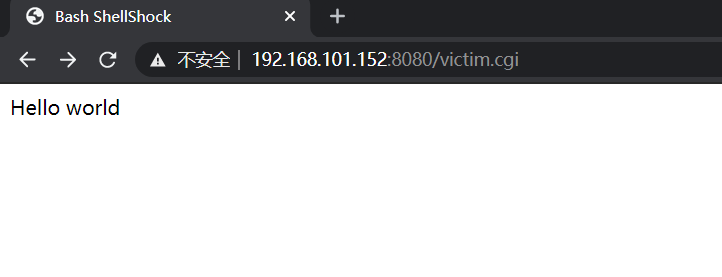 bash（Shellshock）漏洞复现 - 作者:FengDao-安全小百科