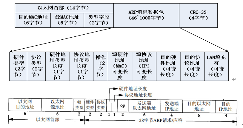 ARP协议分析 - 作者:Johnson666 ARP协议分析 - 作者:Johnson666