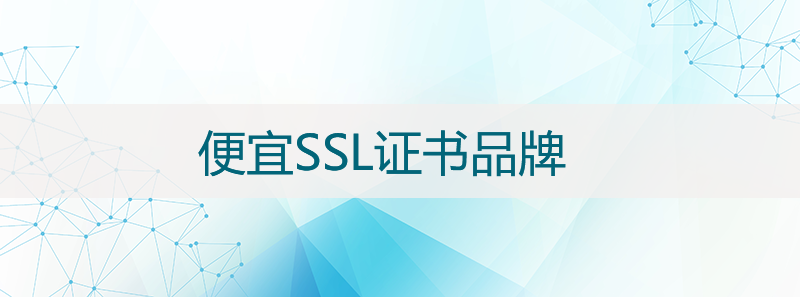 性价比高的便宜SSL证书品牌有哪些？ - 作者:锐成信息Racent-安全小百科