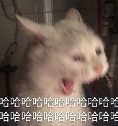 4403e326df5bd803ec8cfd46d89d067d