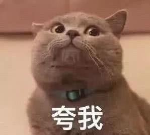 cc3818b77badbdf2db598899e03b3ed6