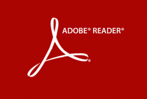 Adobe Reader 0day漏洞|CVE-2021-28550 - 作者:jimmy520-安全小百科