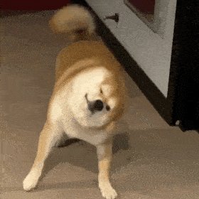 mysql注入入门之报错注入 - 作者:whiteH mysql注入入门之报错注入 - 作者:whiteH