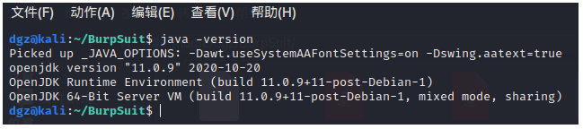 Kali Linux下无法启动BurpSuit pro的一个解决办法 - 作者:dgz123456 Kali Linux下无法启动BurpSuit pro的一个解决办法 - 作者:dgz123456