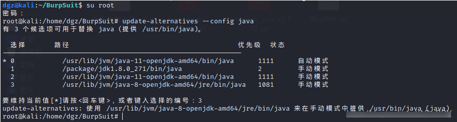 Kali Linux下无法启动BurpSuit pro的一个解决办法 - 作者:dgz123456 Kali Linux下无法启动BurpSuit pro的一个解决办法 - 作者:dgz123456