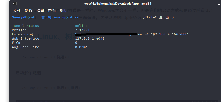 Ngrok 内网穿透数据转发-MSF控制外网主机 - 作者:root22 Ngrok 内网穿透数据转发-MSF控制外网主机 - 作者:root22