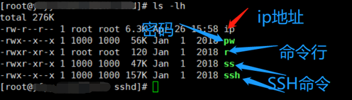 一次Linux挖矿病毒(tor2web)的处理过程 - 作者:yonyousec 一次Linux挖矿病毒(tor2web)的处理过程 - 作者:yonyousec