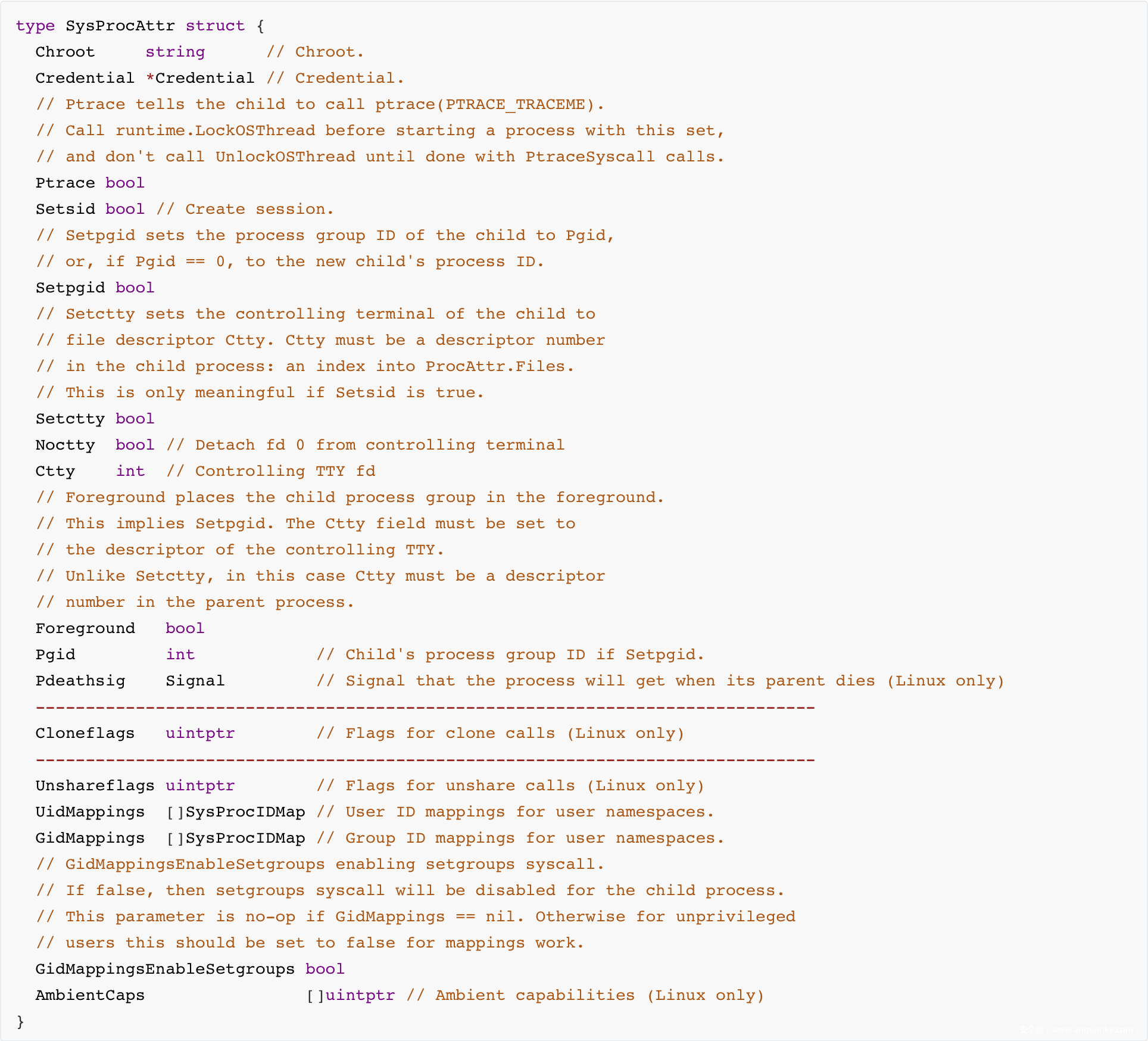 基于Linux Namespaces 特性 实现的消音 - 作者:北京长亭科技有限公司 基于Linux Namespaces 特性 实现的消音 - 作者:北京长亭科技有限公司