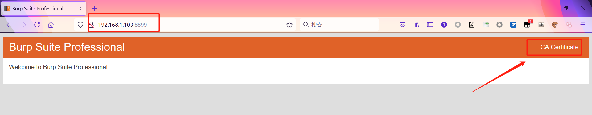 安卓学习(一) - 作者:每天都要努力哇 安卓学习(一) - 作者:每天都要努力哇