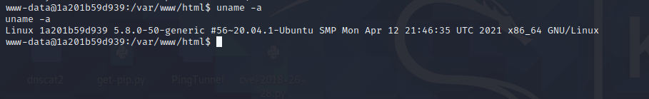 渗透测试 | ThinkPHP渗透 - 作者:每天都要努力哇 渗透测试 | ThinkPHP渗透 - 作者:每天都要努力哇