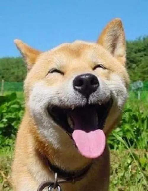 SQL注入绕过入门总结篇 - 作者:whiteH SQL注入绕过入门总结篇 - 作者:whiteH