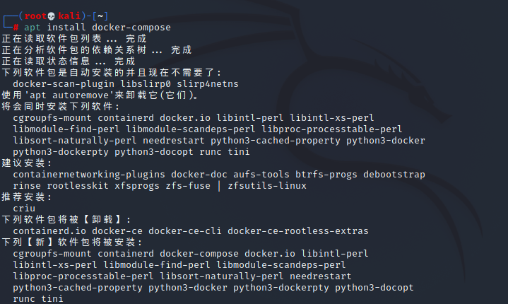 KALI搭建Docker+Vulhub漏洞复现环境 - 作者:YLionYLion KALI搭建Docker+Vulhub漏洞复现环境 - 作者:YLionYLion