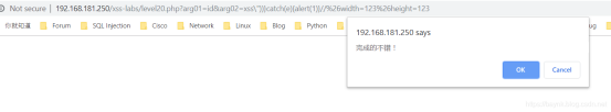 xss-labs靶场-第二十关 FLASH XSS -续 - 作者:知非知非知非 xss-labs靶场-第二十关 FLASH XSS -续 - 作者:知非知非知非