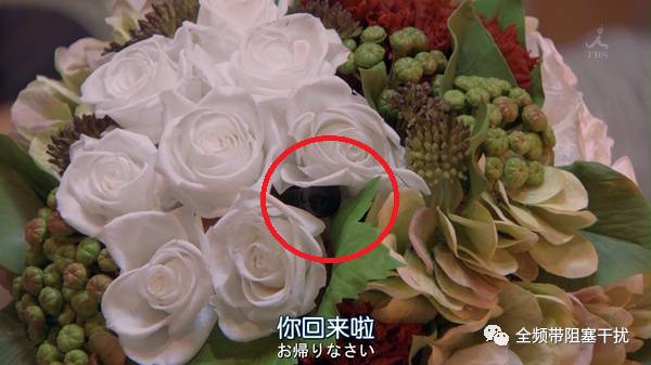 懂技术的女人有多可怕の系列一 懂技术的女人有多可怕の系列一